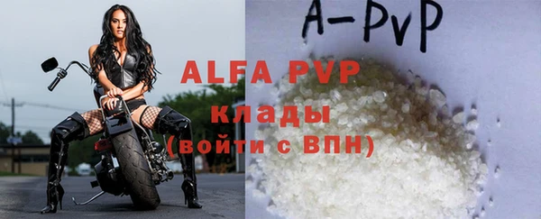 спиды Белокуриха