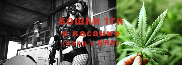 PSILOCYBIN Лихославль