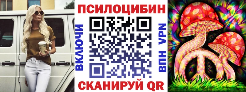 как найти закладки  Билибино  Псилоцибиновые грибы прущие грибы 